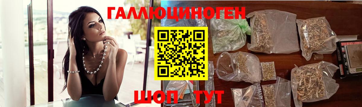 Галлюциногенные грибы GOLDEN TEACHER  Псилоцибиновые грибы GOLDEN TEACHER  Вход с VPN  Дзержинский 